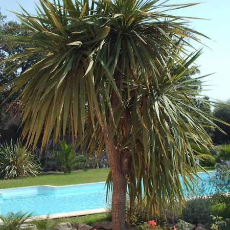 Villa Nivelaja Lumio (Corsica)